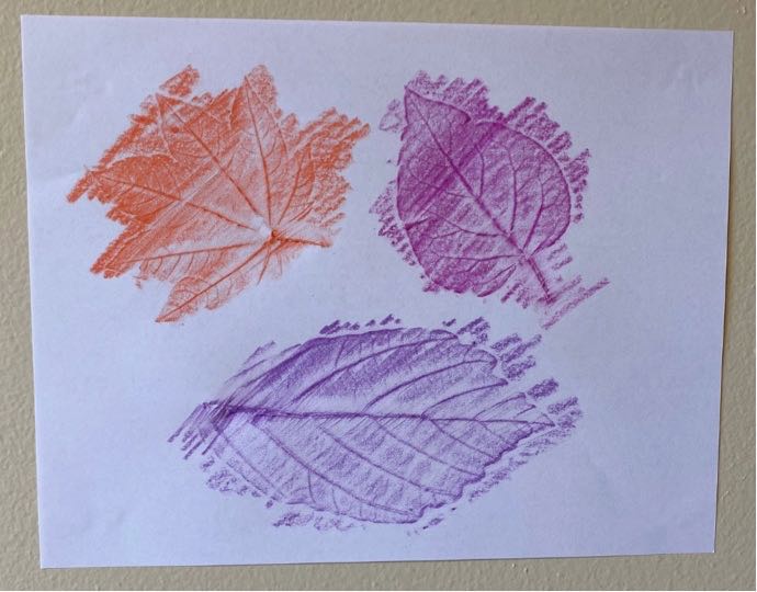 Nordic Sól Nature Craft for Kids—Leaf Rubbings | National Nordic Museum