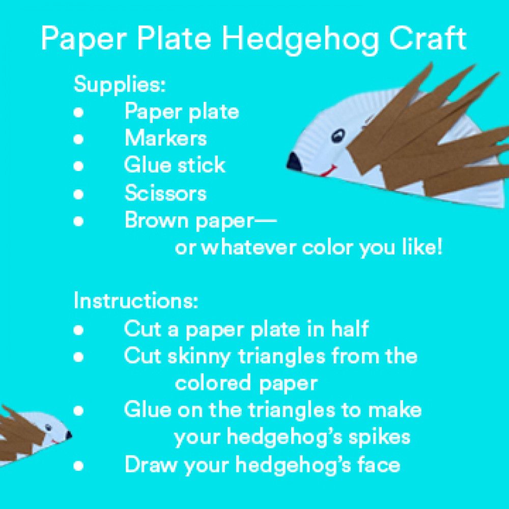 Paper Plate Hedgehog Craft