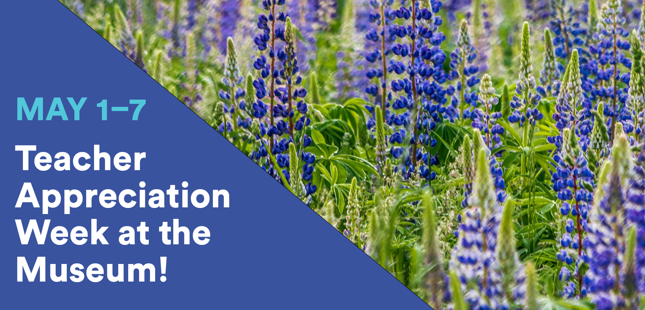 Teacher Appreciation Week 2022 National Nordic Museum