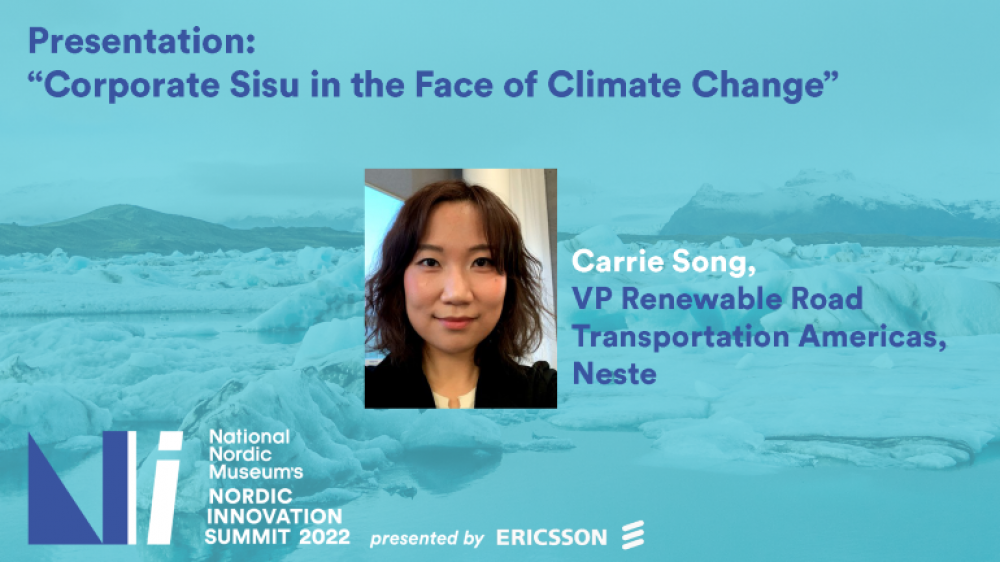 22_NIS_Panel_CorporateSisu