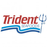 trident_web-500x500