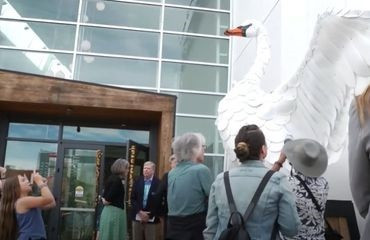 2022News_370_SwanTalk