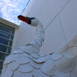 EP730_NordicSwan_Headonly