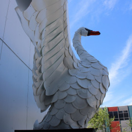 EP730_NordicSwanProfile_IMG_2035