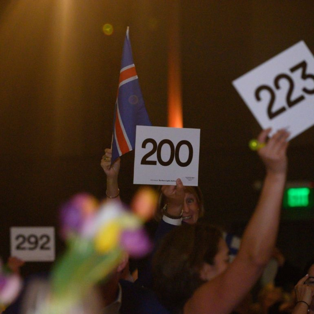 Northern Lights Auktion National Nordic Museum