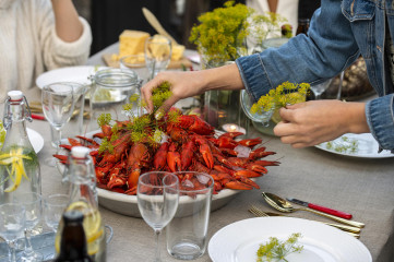 VS_Kraftskiva_7811-IBSweb_9QKYXze