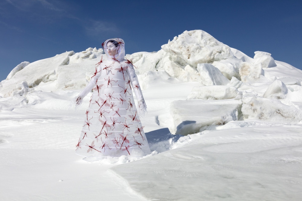 What_Will_I_Say_to_the_Sky_and_Earth_II_McMaster-Meryl_McMaster