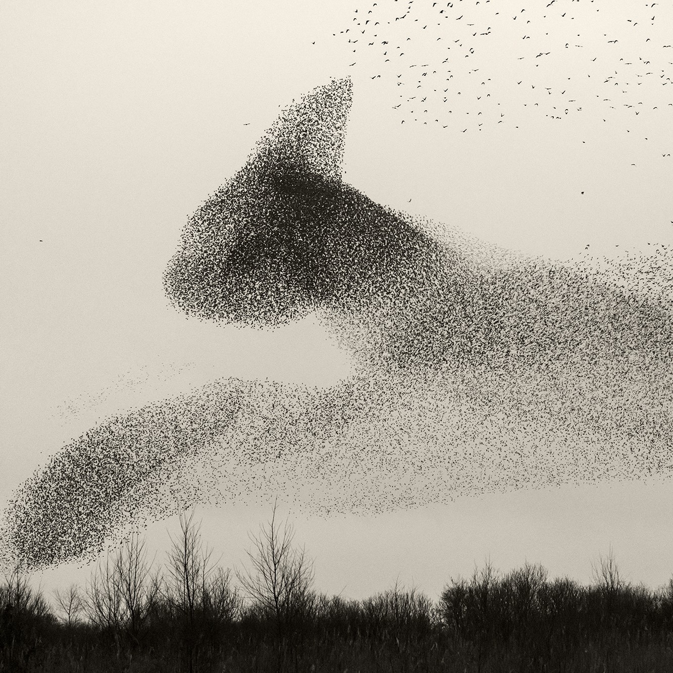 Artist Talk: Søren Solkær | National Nordic Museum