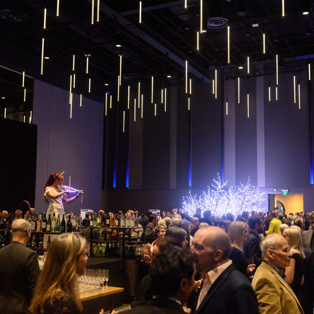 Northern Lights Auktion National Nordic Museum