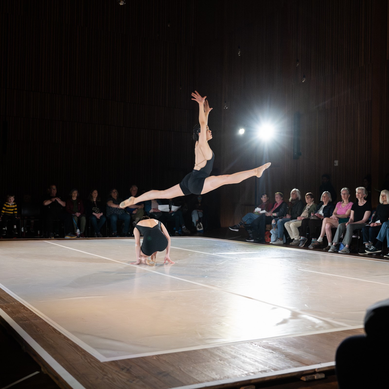 Spectrum Dance Theater presents DIALOGUE | National Nordic Museum