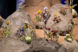 20240803-djurberg.berg.gallery.documentation-009