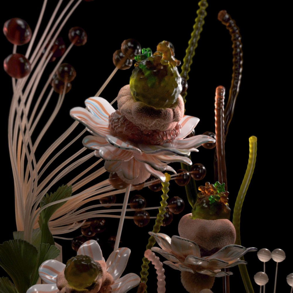 Flora