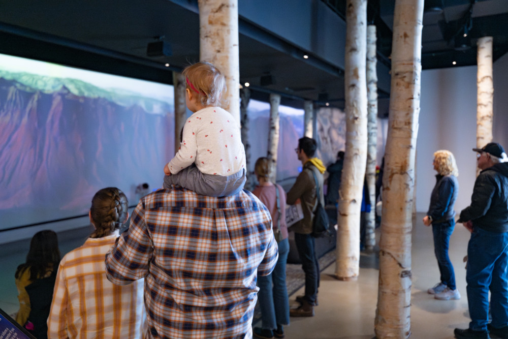 A child sits on an adult's shoulders in the Sense of Place gallery at the National Nordic Museum, surrounded by birch tree trunks spanning from floor to ceiling.