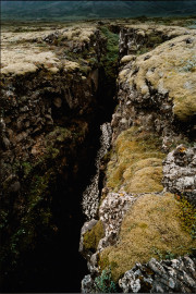 Photo number 2 Olafur Eliasson