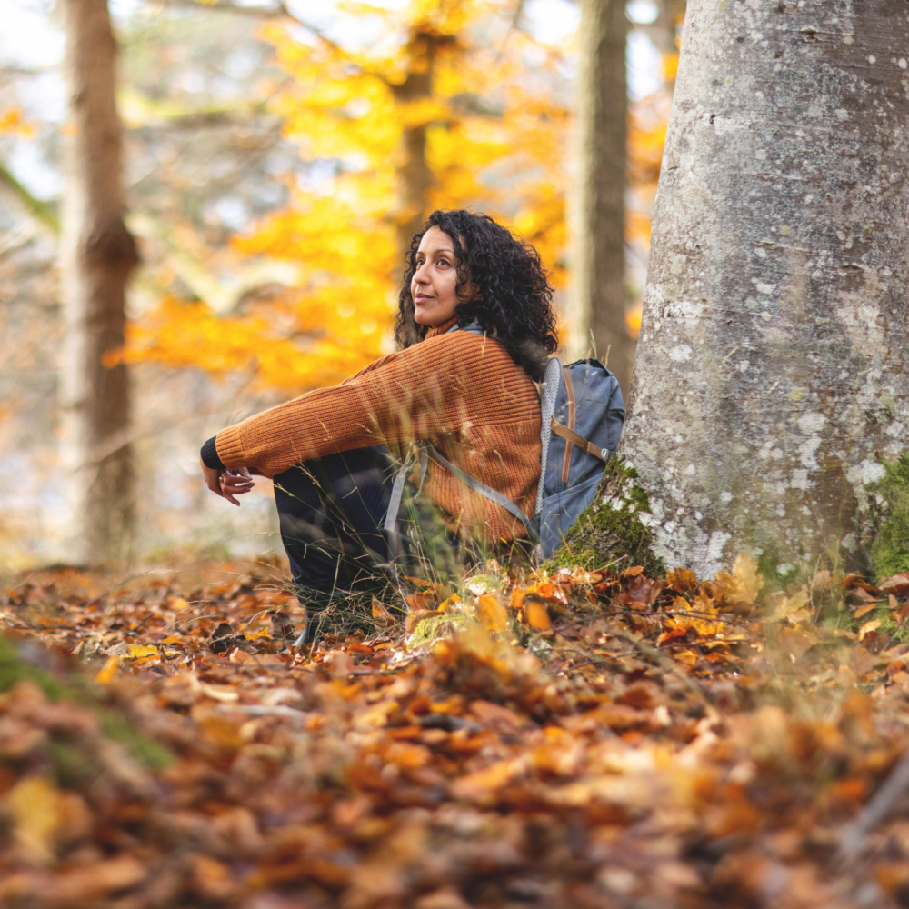 Forest Bathing 1704x1704