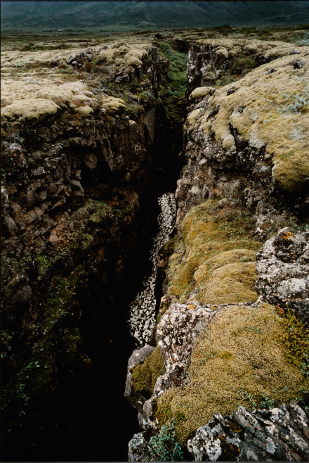 Photo number 2 Olafur Eliasson