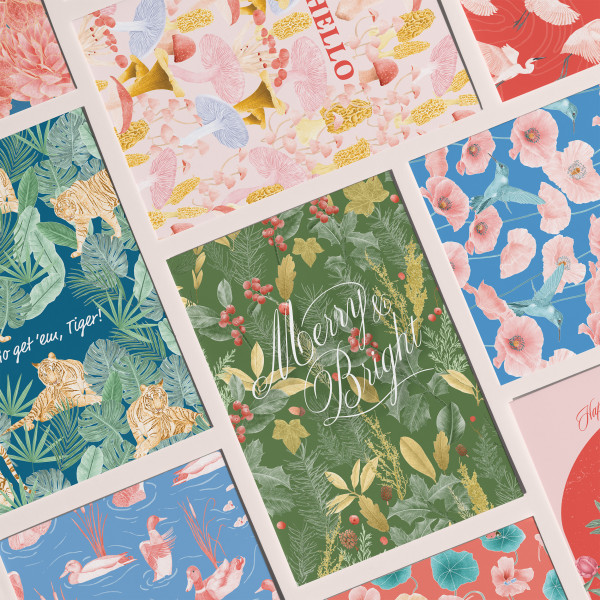 Stacy Hsu Design & Illustration