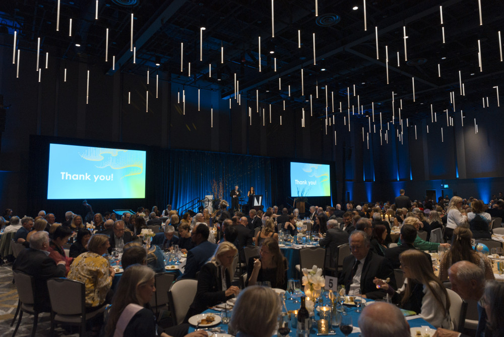 Northern Lights Auction 2025-496