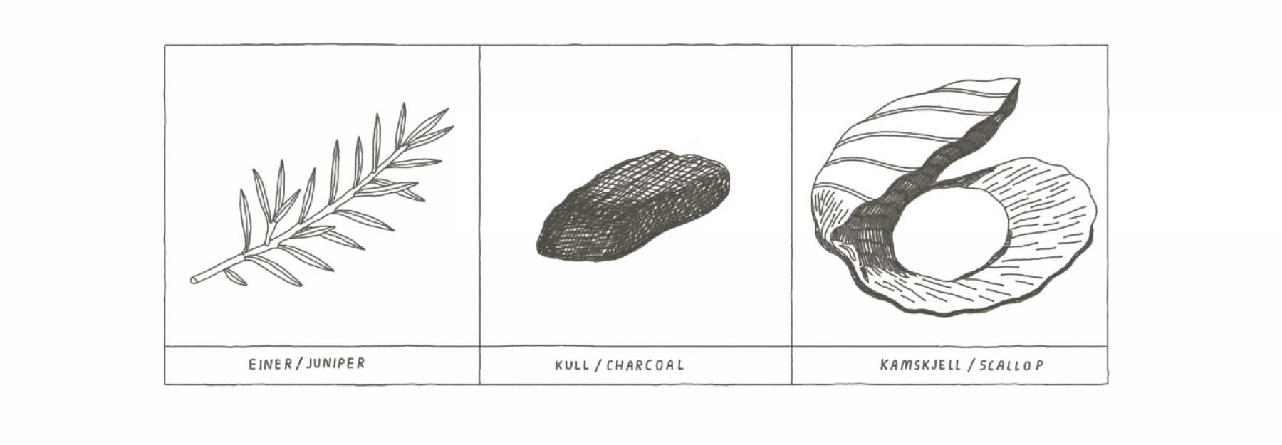 new nordic digital booklet banner image