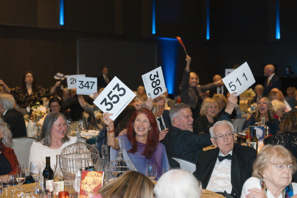 Northern Lights Auction 2025-488