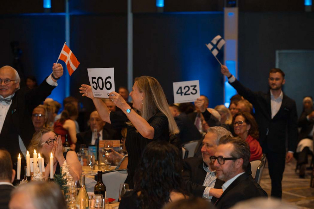 Northern Lights Auction 2025-464_edited