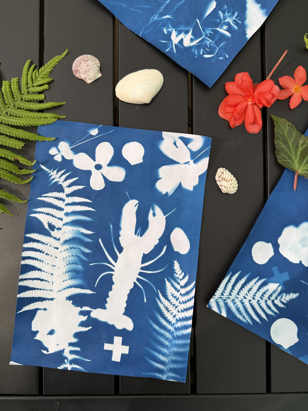 Summer Cyanotype_ Kayla Ann_3.JPG
