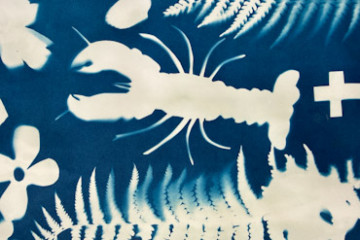 Summer Cyanotype_ Kayla Ann_4_edited