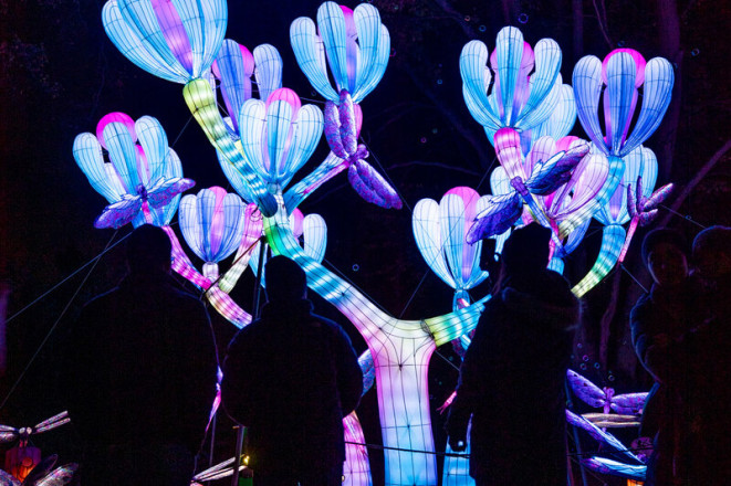 2022-WildLanterns-21